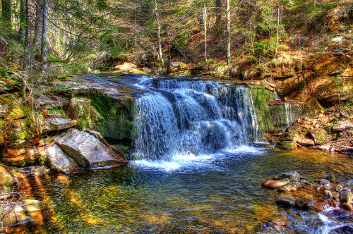 Image water falls in the middle of the forest