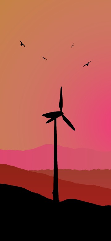 Image bird, red, orange, bird migration, wing