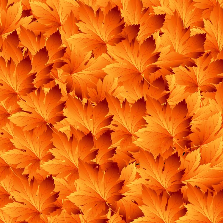 Hojas de Arce Naranja y Amarillo. Wallpaper in 3500x3500 Resolution