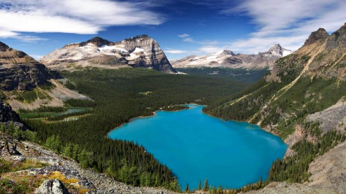 Image lake surrounded by green trees and snow covered mountains during daytime