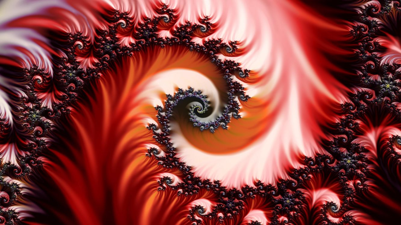 Illustration en Spirale Orange et Noire. Wallpaper in 2560x1440 Resolution
