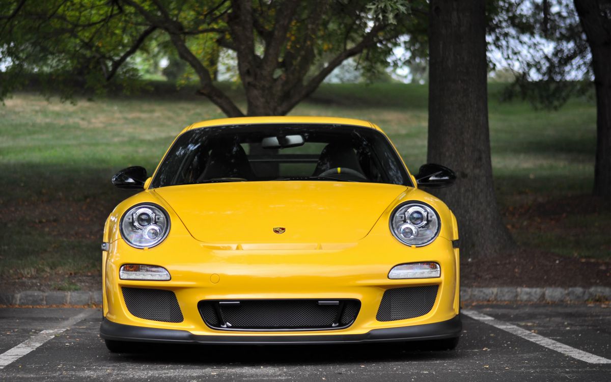 Porsche 911 Jaune Garée Près de L'arbre Pendant la Journée. Wallpaper in 2560x1600 Resolution