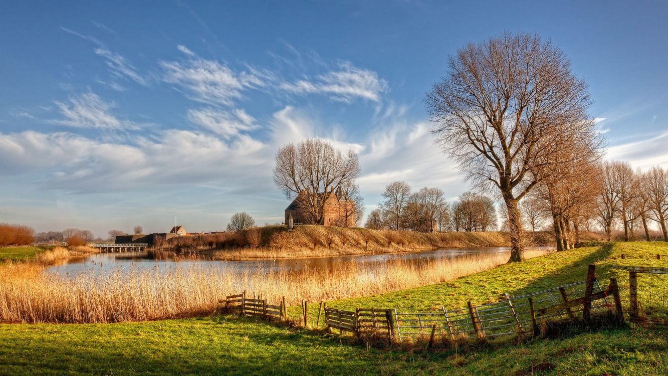 leafless trees on brown field under blue sky during daytime