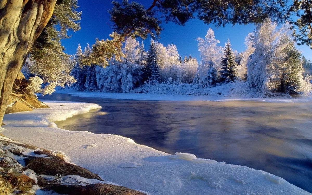 冬天, 性质, 冻结, 荒野, 水道 壁纸 2560x1600 允许