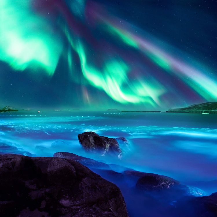 Huawei, Huawei Honor 20, Huawei Honor 20 Pro, Aurora Boreal, Aurora. Wallpaper in 2340x2340 Resolution