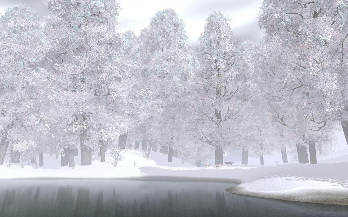 snow covered trees near river during daytime