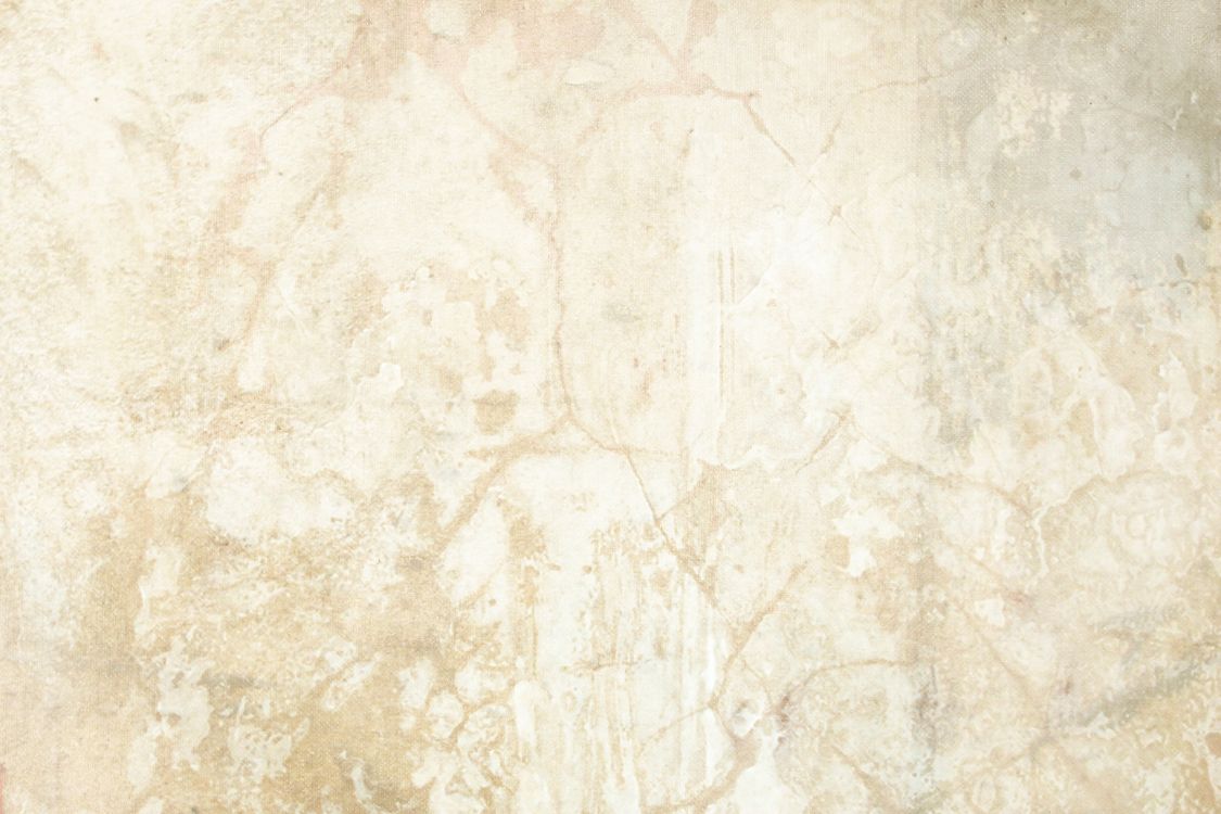 Weißes Und Braunes Florales Textil. Wallpaper in 3504x2336 Resolution