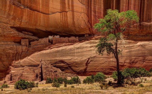 Image green trees beside brown rock formation during daytime