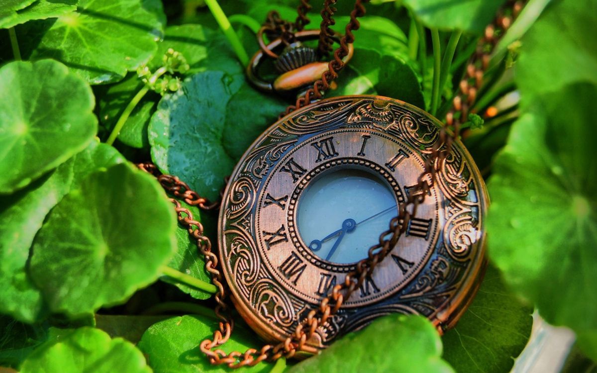 brown and white round analog watch