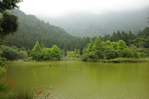 Image green trees beside lake during daytime