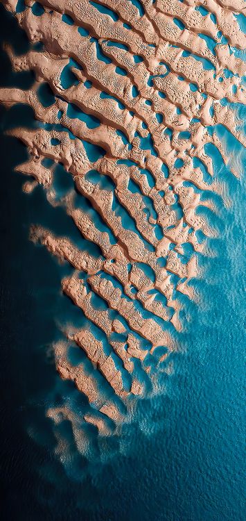 Musée du Bicentenaire, Biologie Marine, Eau, Environnement Sous-marin, Blue. Wallpaper in 1422x3000 Resolution