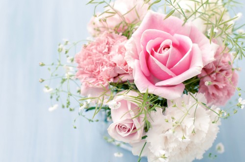 Image pink roses in white ceramic vase