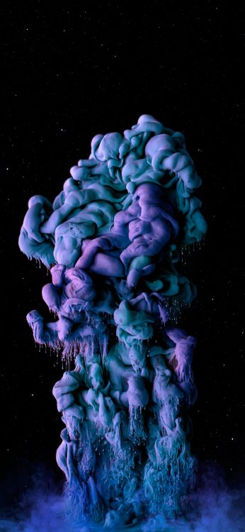 Biologie Marine, Purple, Pétale, Corail, le Récif de Corail. Wallpaper in 1080x2340 Resolution