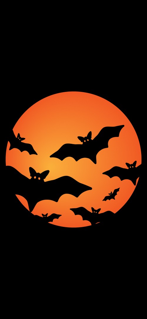 Image orange, bats, festival, graphics, bat