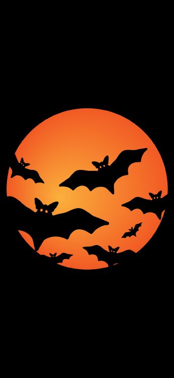Orange, Bats, Festival, Graphics, Bat. Wallpaper in 1080x2340 Resolution