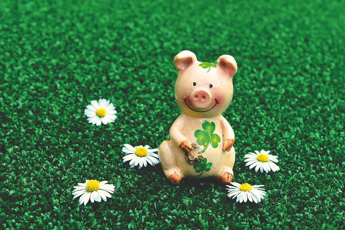 Pink Pig Ceramic Figurine on Green Grass Field. Wallpaper in 6000x4000 Resolution