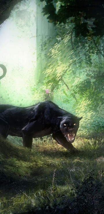 黑暗的幻想壁纸samsung Galaxy S8 S8 S9 S9 Note 8 Note 9 Qhd 黑暗的幻想高清图片 1440x2960 免费下载图片