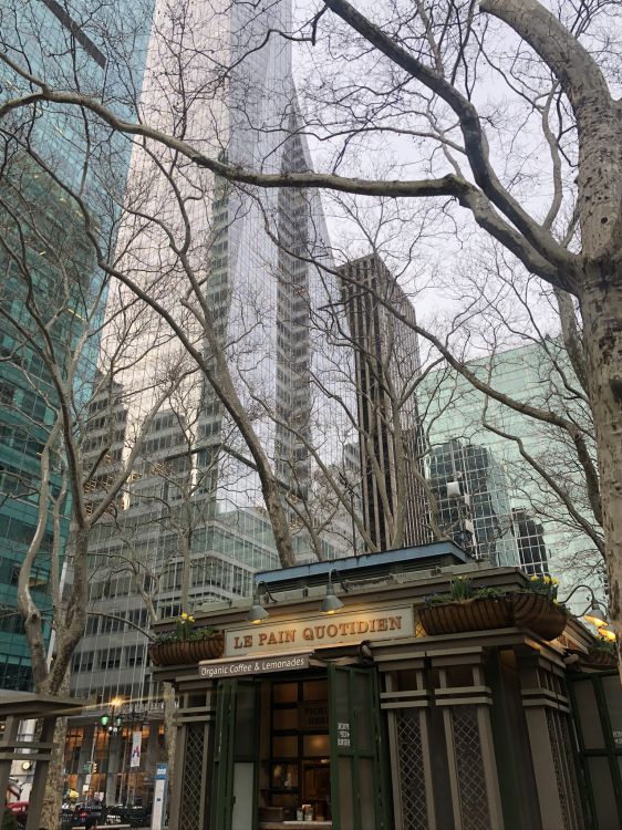 纽约市, 塔块, 城市, 树枝, 大都会 壁纸 1536x2048 允许