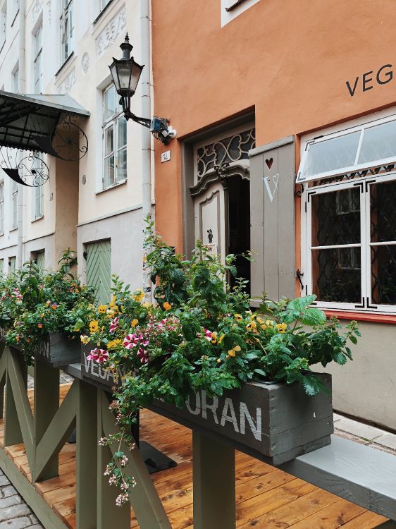 Fenster, Holz, Gebäude, Holz-Fleck, Floristik. Wallpaper in 3024x4032 Resolution