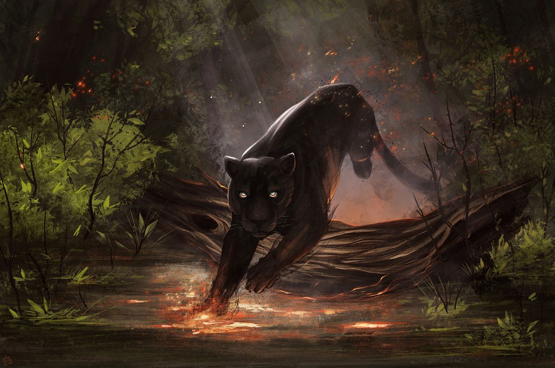Kostenlose Hintergrundbilder Feuer Jaguar, Jaguar, Ökoregion, Menschen in Der Natur, Carnivore