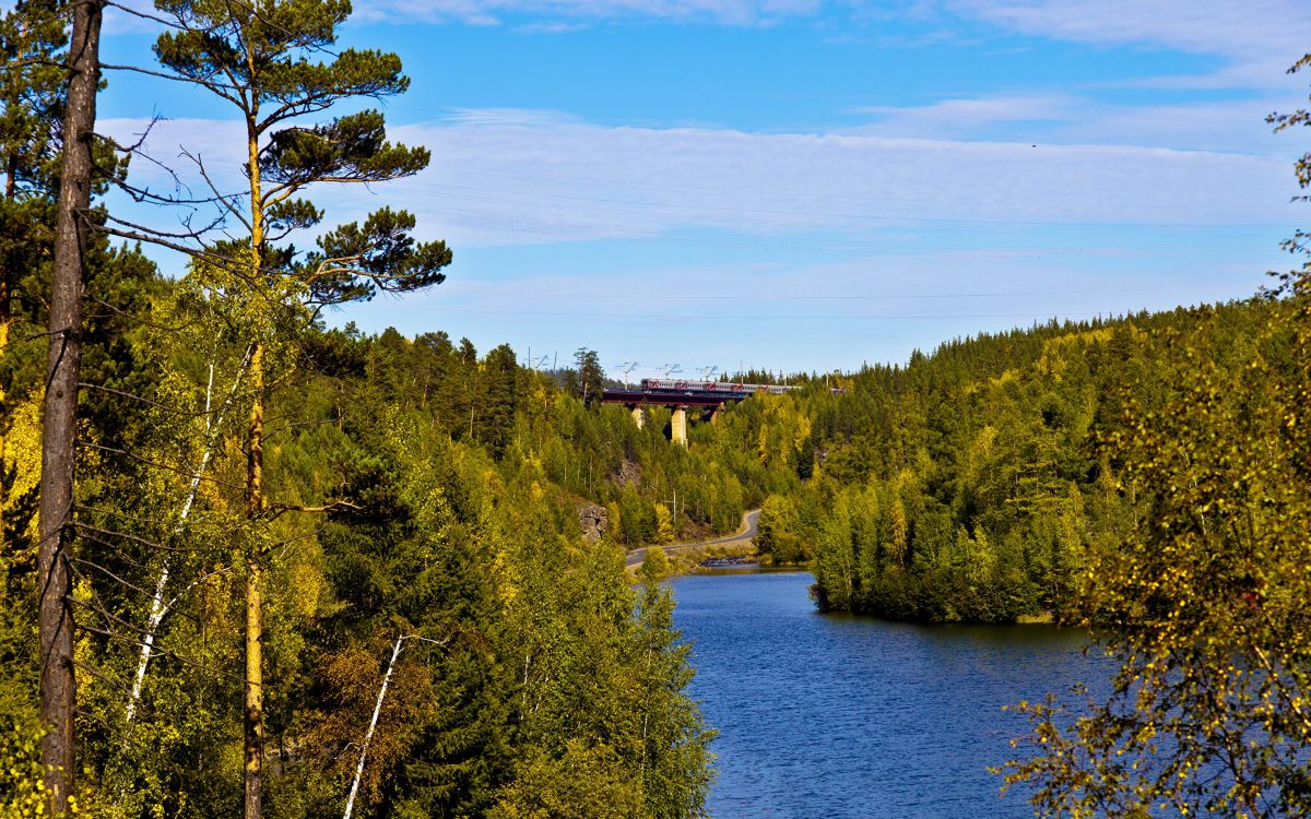 Árboles Verdes Cerca Del Cuerpo de Agua Bajo un Cielo Azul Durante el Día. Wallpaper in 2880x1800 Resolution