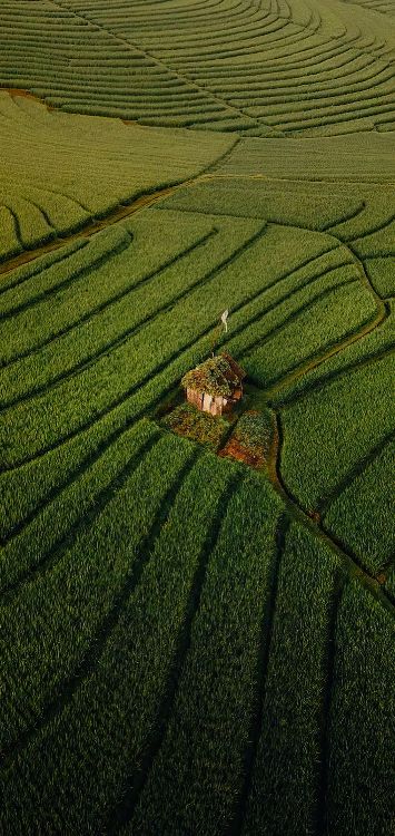 Les Gens Dans la Nature, Rêves J'aime Voyager, Voyage, Agriculture, Plante Terrestre. Wallpaper in 1421x3000 Resolution