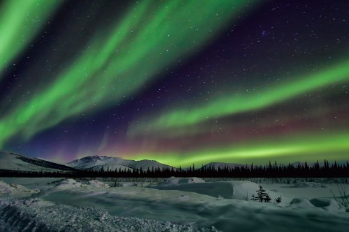 Image green aurora lights over snow covered ground during night time