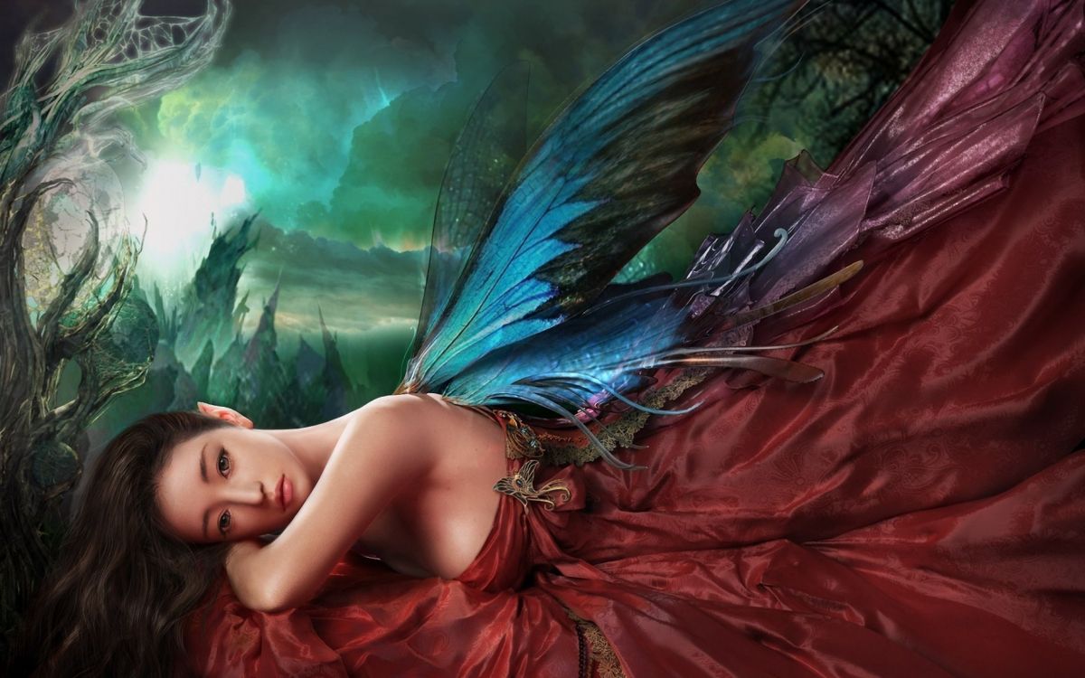 童话, 艺术, 羽毛, 翼, 神秘的生物 壁纸 2560x1600 允许