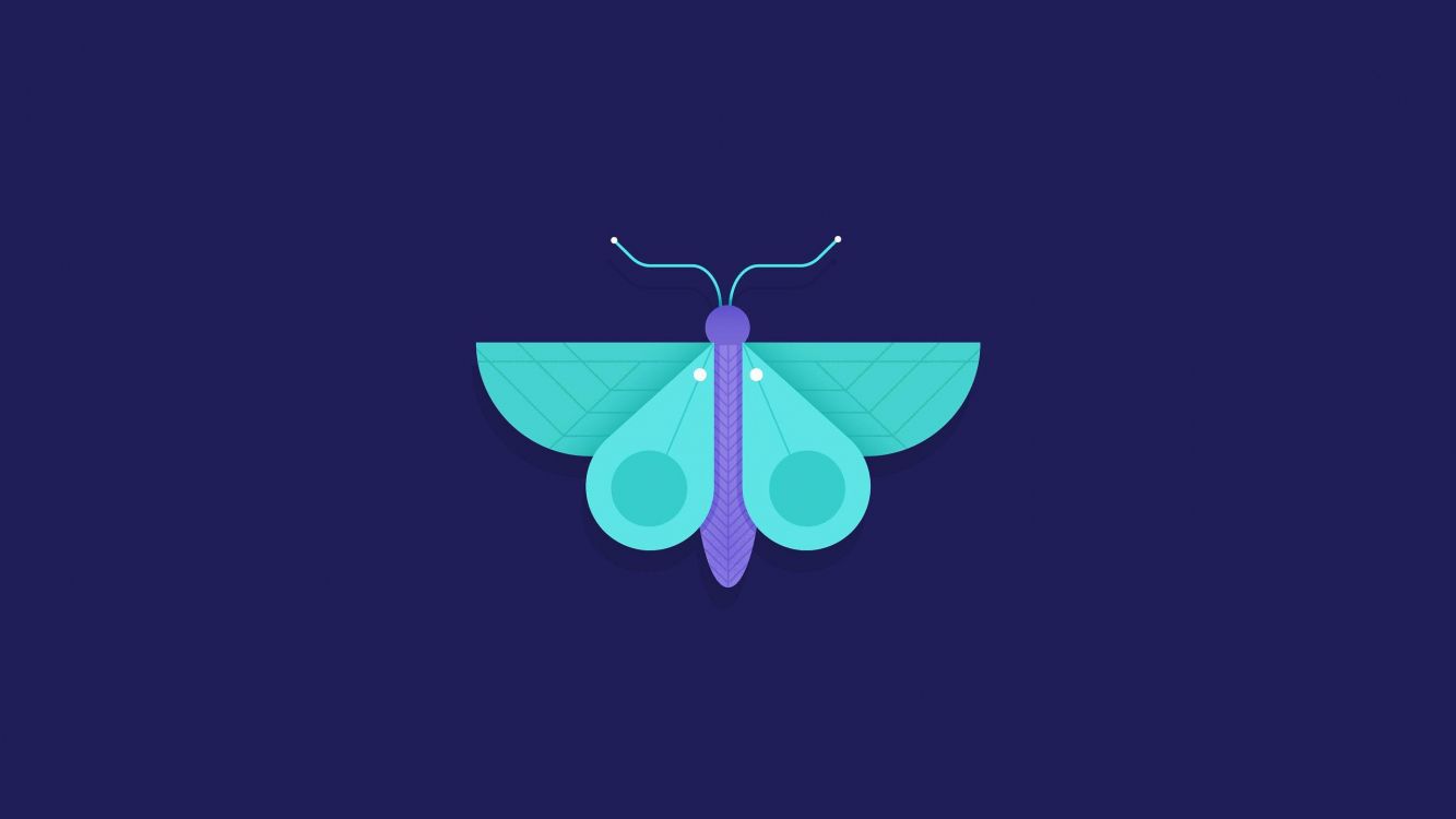 Illustration de Papillon Rose et Vert. Wallpaper in 2560x1440 Resolution