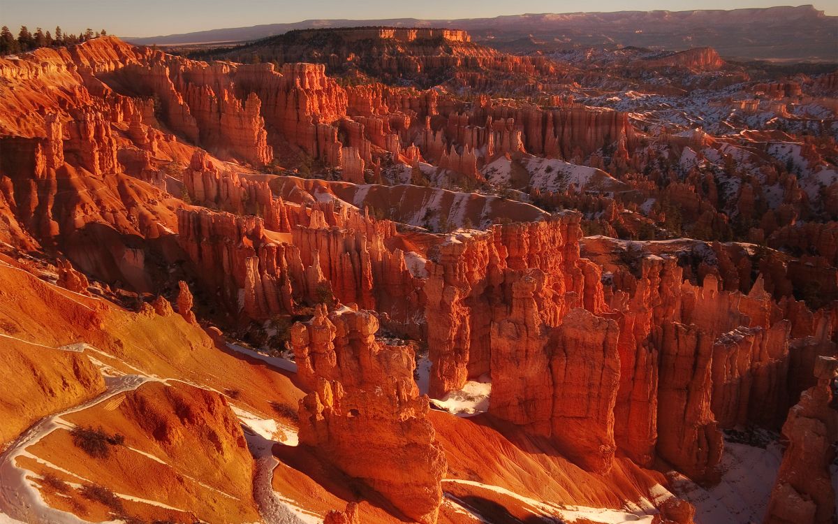 brown rock formation during daytime